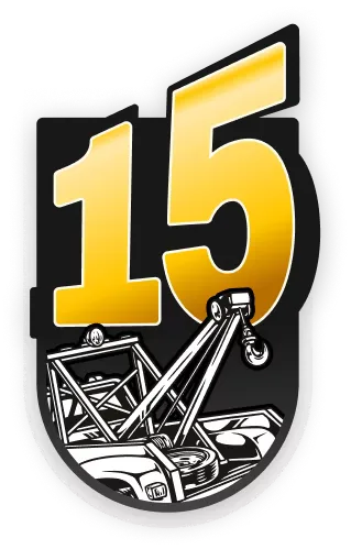 15 ani de activitate